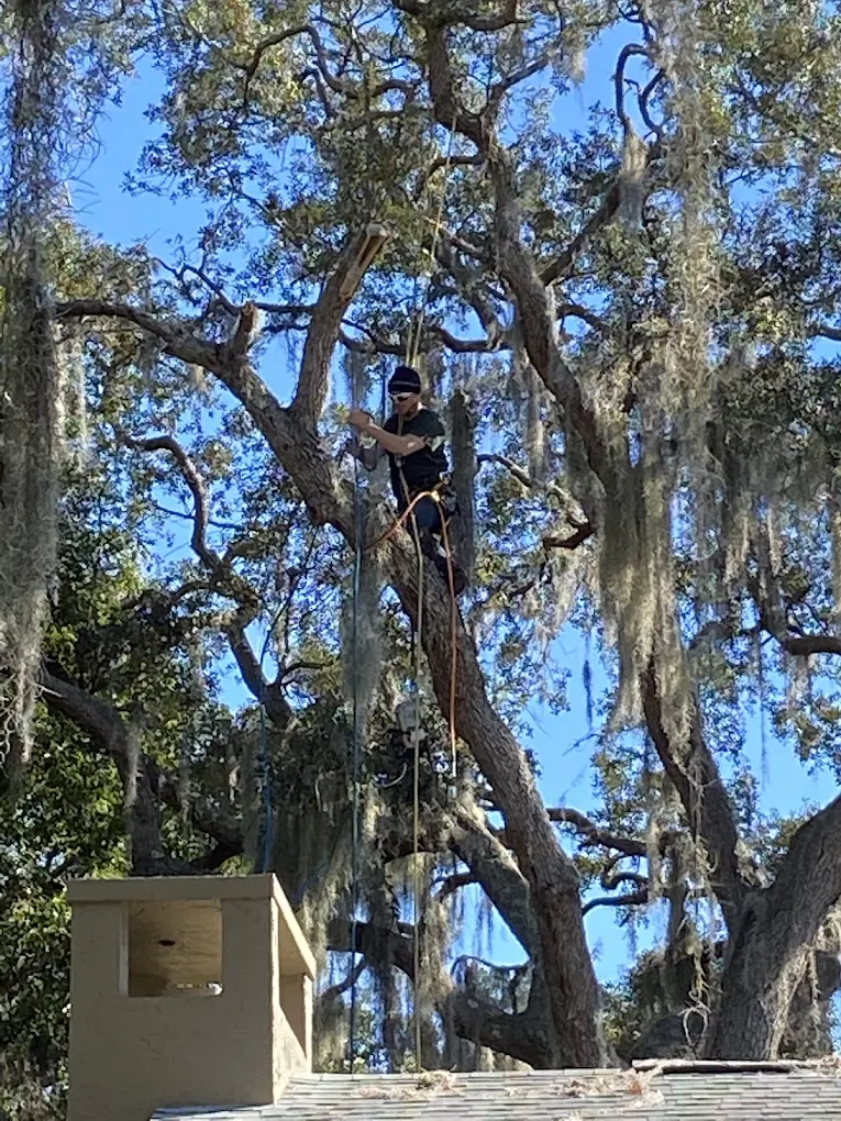 FCFA983C-655D-474F-8B2A-895EDDE1711C