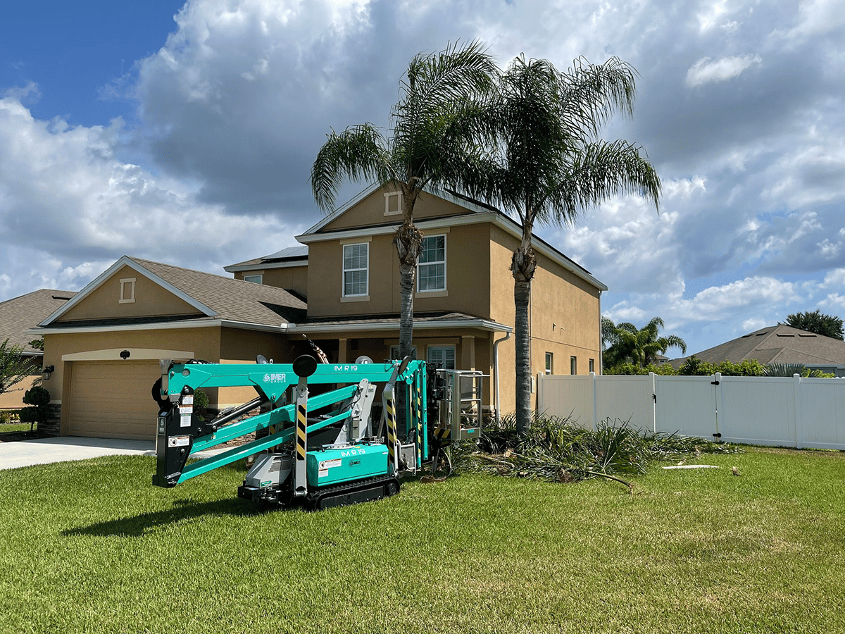 tree-trimming-services-daytona-new-smyrna-palm-coast.png