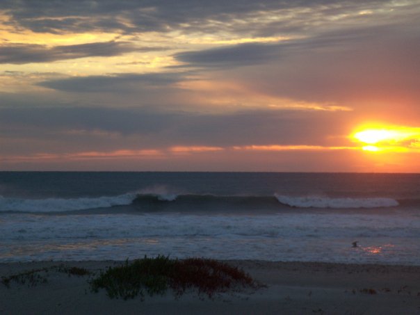 South-Beach-Inn-Cocoa-Beach-Sunrise_2fea29ce-f62e-2dea-6863819090a6a6b2.jpg